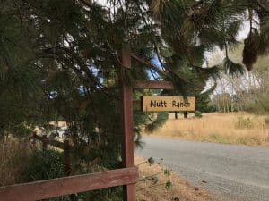 The Nutt Ranch sign